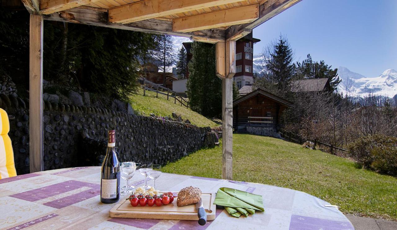 Chalet Steingaertli 1 Wengen Exterior foto